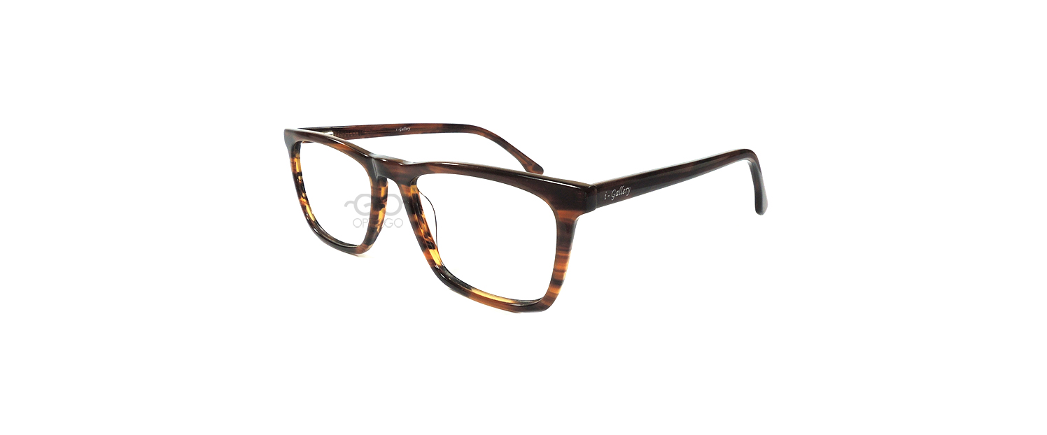 I-Gallery 2210 / C309 Brown Camo Glossy